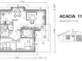 acacia11-2a
