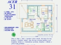 acer31-1